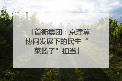 首衡集团：京津冀协同发展下的民生“菜篮子”担当